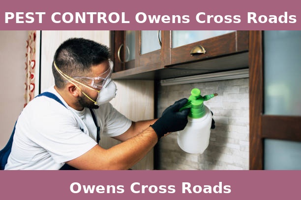 PEST CONTROL Owens Cross Roads